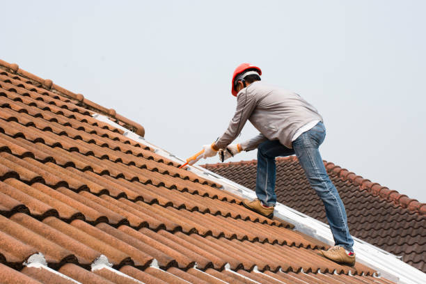 Best Storm Damage Roof Repair  in Sur Hill, GA